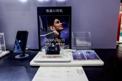 载自研LX500处置器